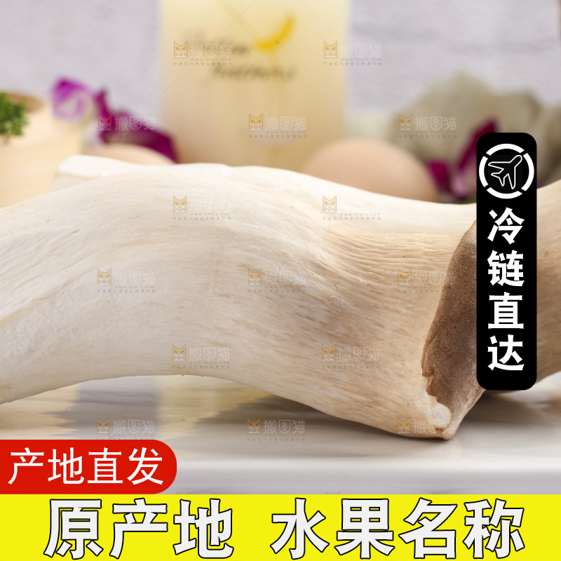 石板上摆放着鸡腿菇