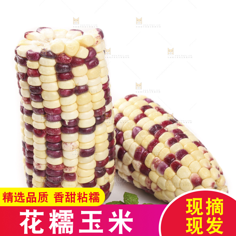 剥皮的花糯玉米放在白底上