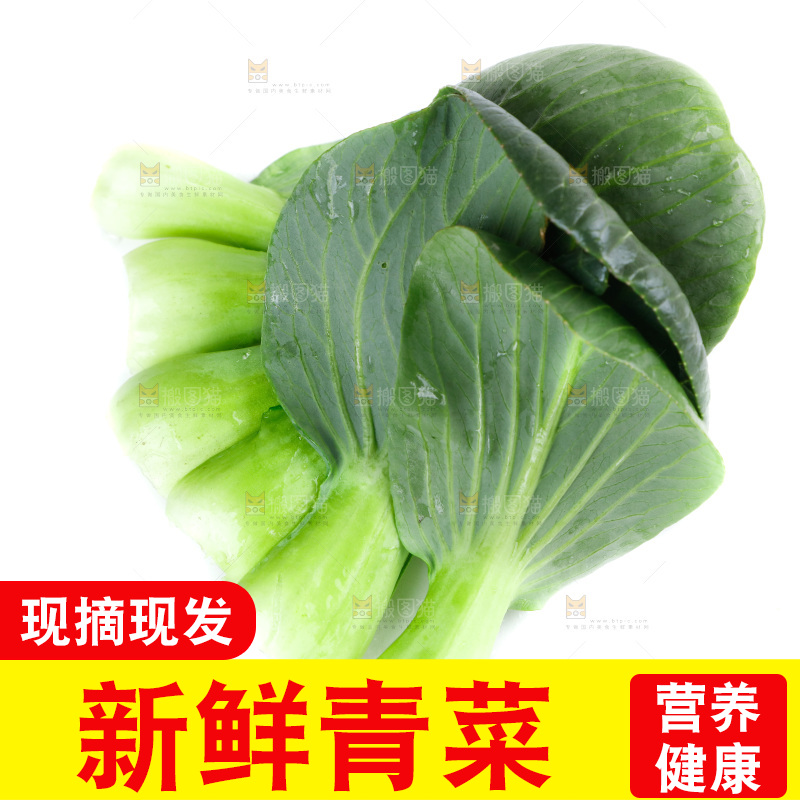 白底上的绿叶菜
