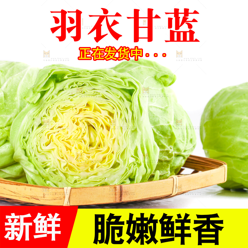 篮子里装绿甘蓝