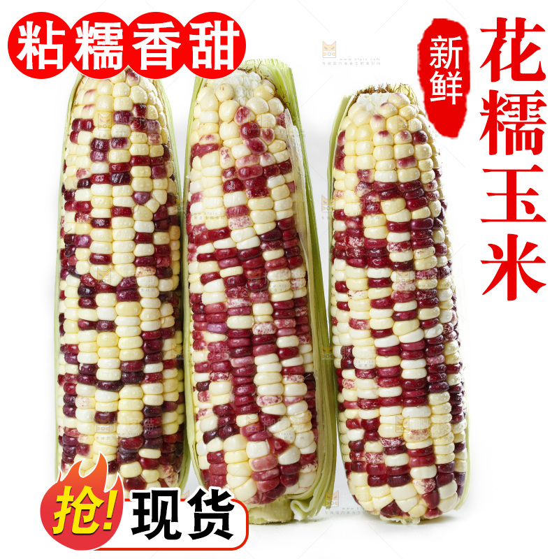 白底上放着剥皮的花糯玉米