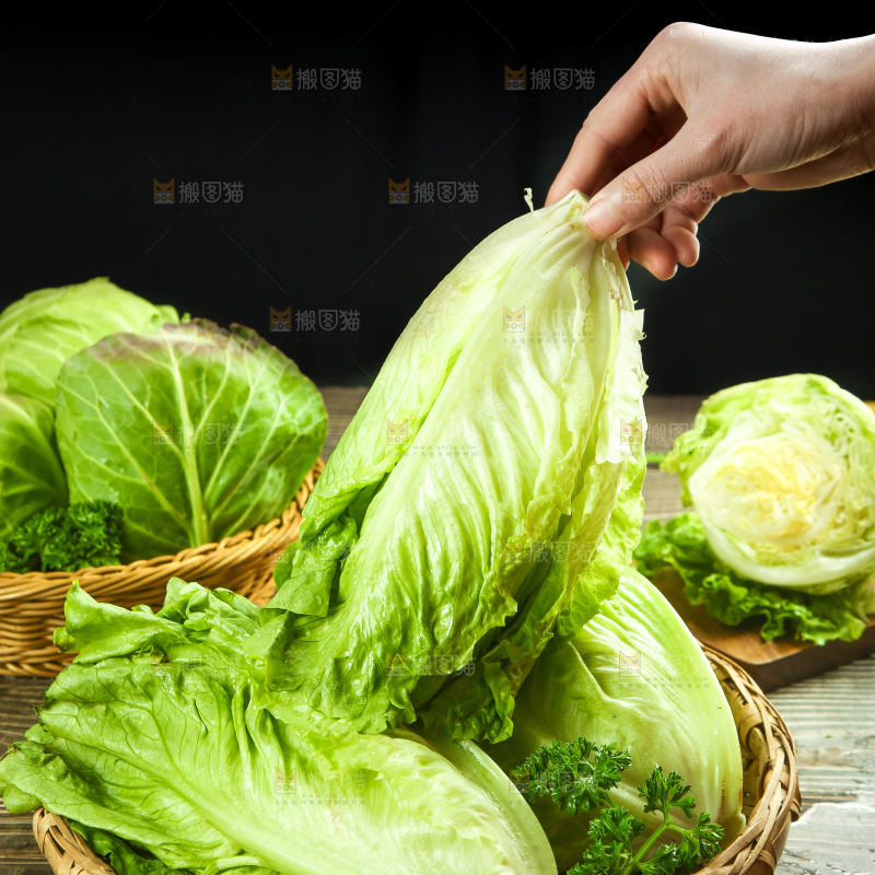篮子里装着四季玻璃生菜