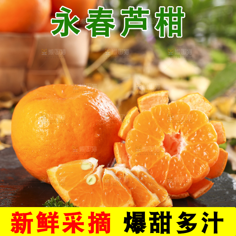 黑石板上的云南椪柑
