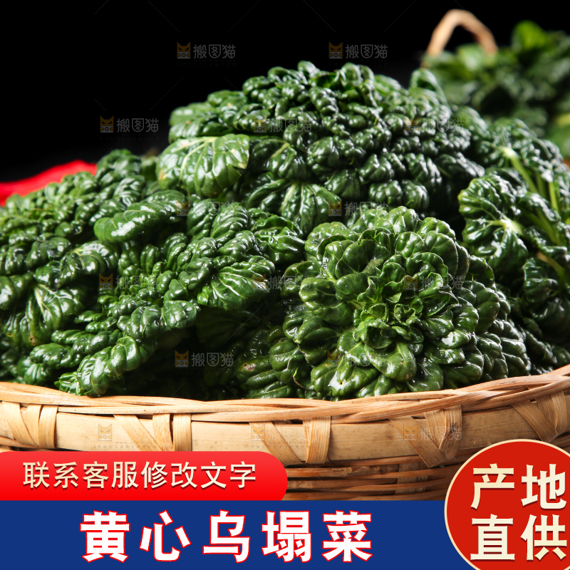篮子里装着乌塌菜
