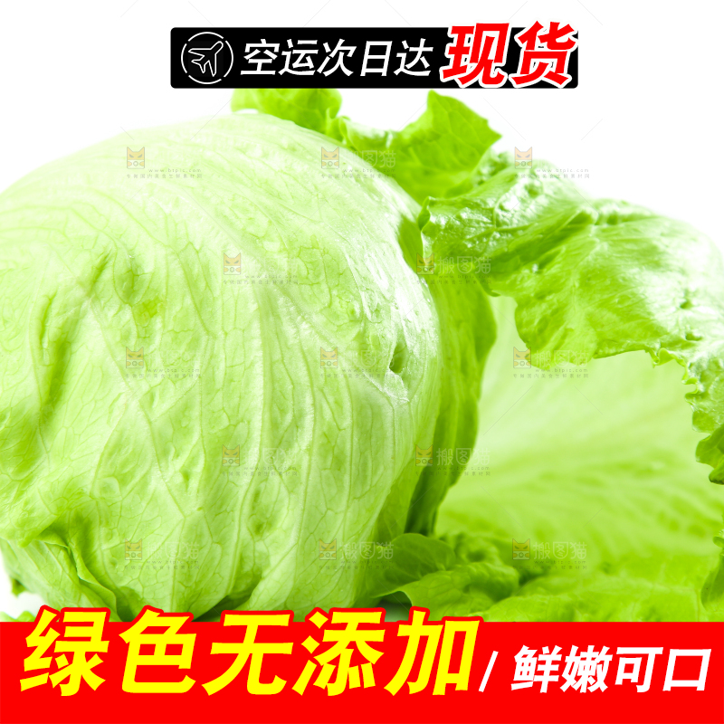 白底上的新鲜生菜