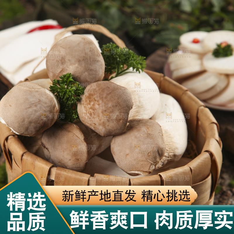 篮子里放着大鸡腿菇