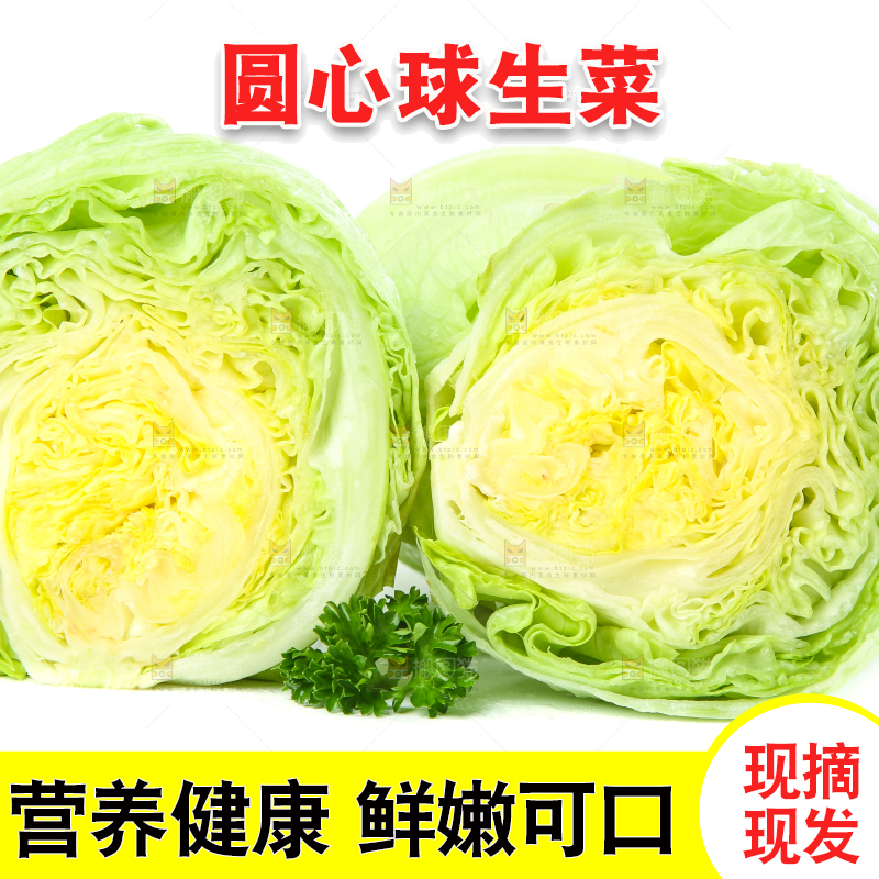 白底上的新鲜生菜