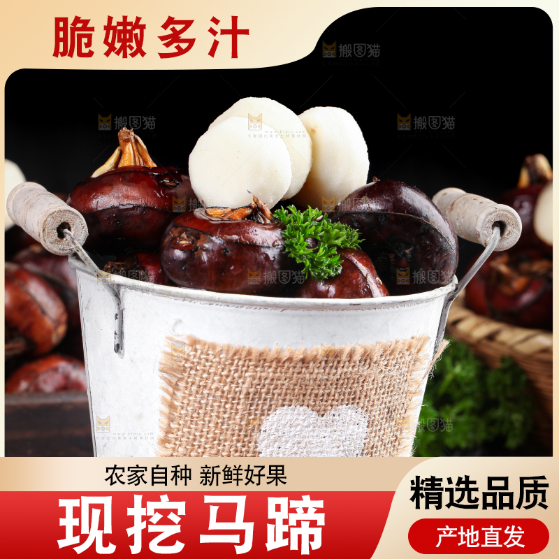 深底上的广西荔浦马蹄