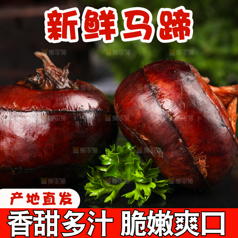 黑石板上的荸荠