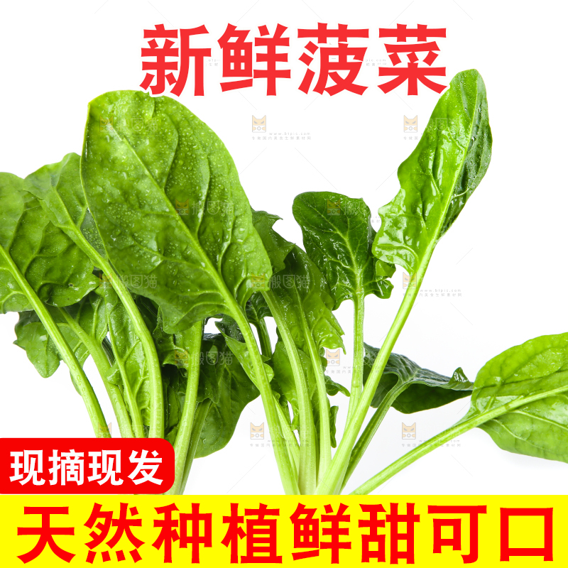 白底上放着菠菜