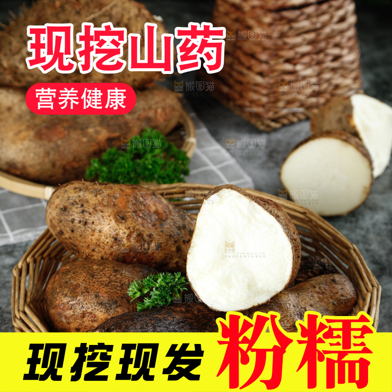 黑底上的金秤砣山药