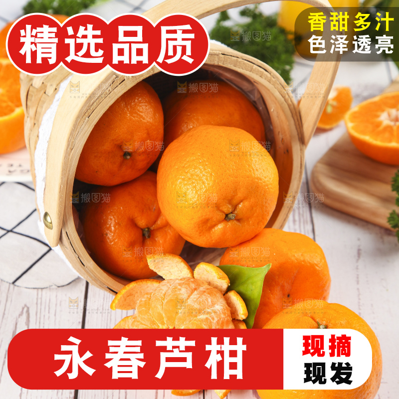 篮子里装着新鲜芦柑