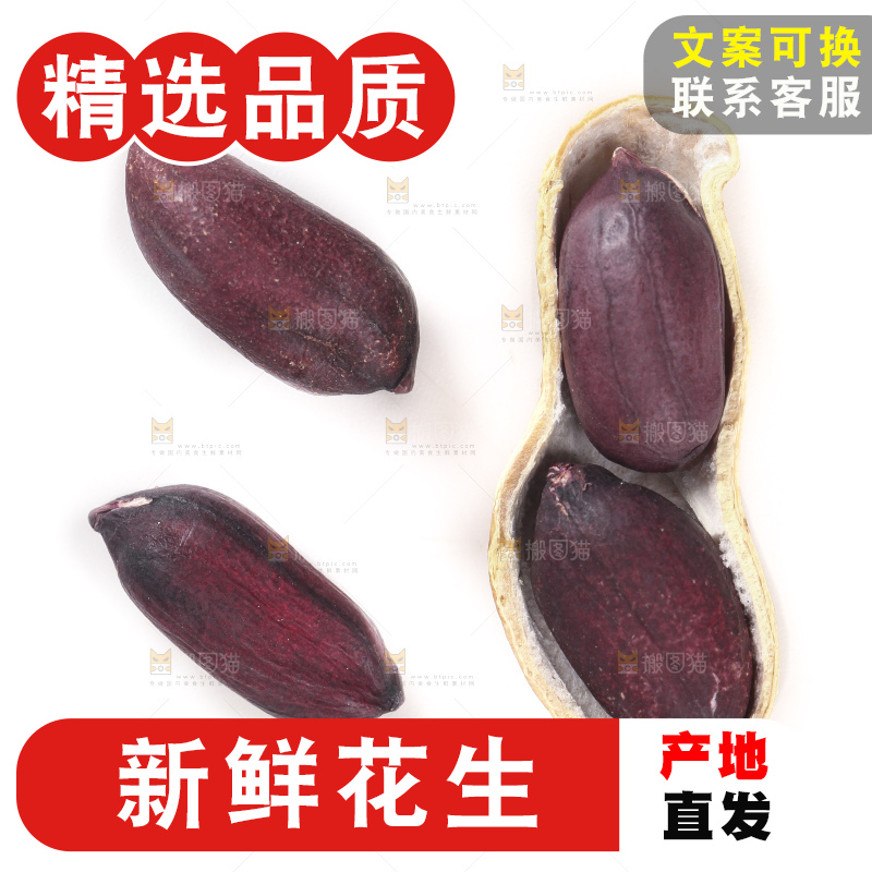 白底上的黑皮花生
