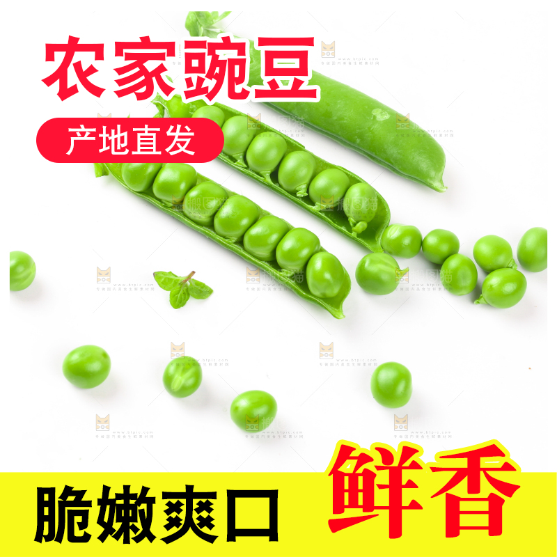剥开的新鲜豌豆放在白底上