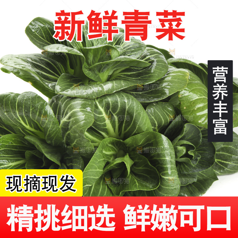 白底上放着上海青