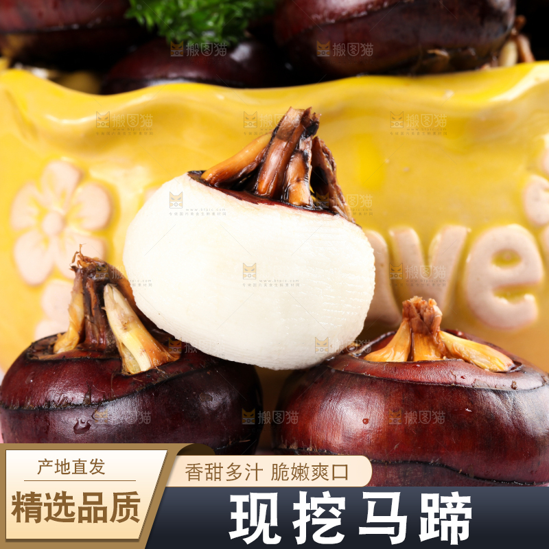 彩底上的马蹄果