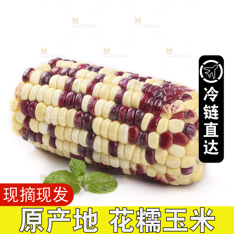 剥皮的花糯玉米放在白底上