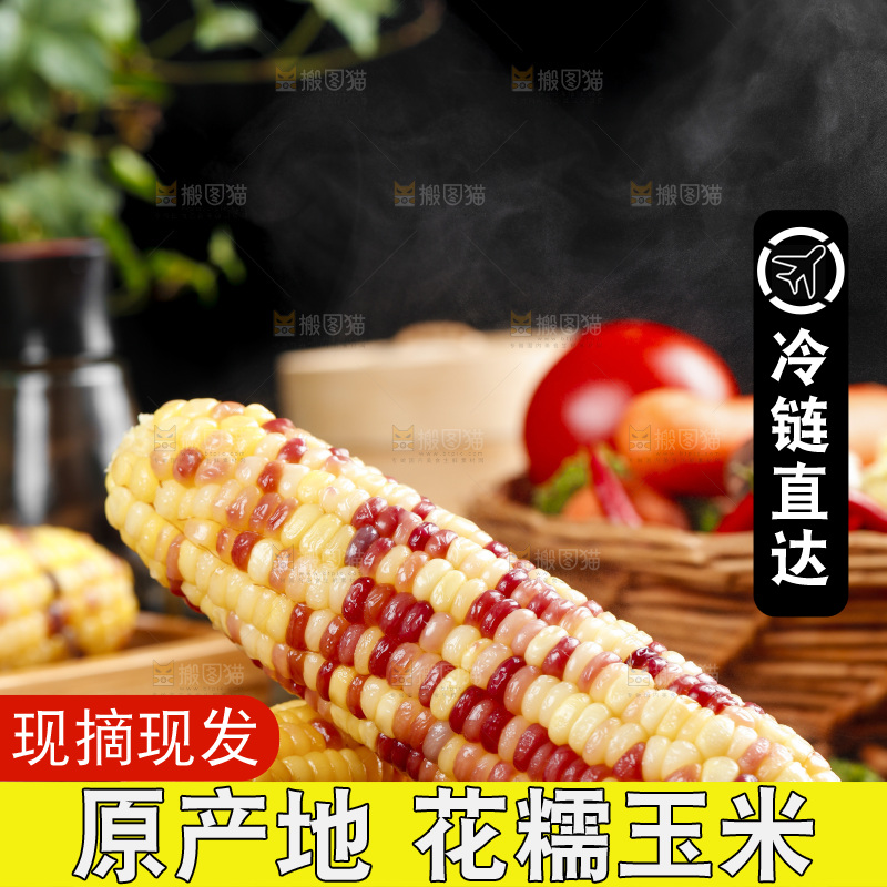 木底上的湖北花糯玉米