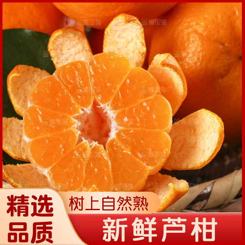 篮子里装着新鲜芦柑