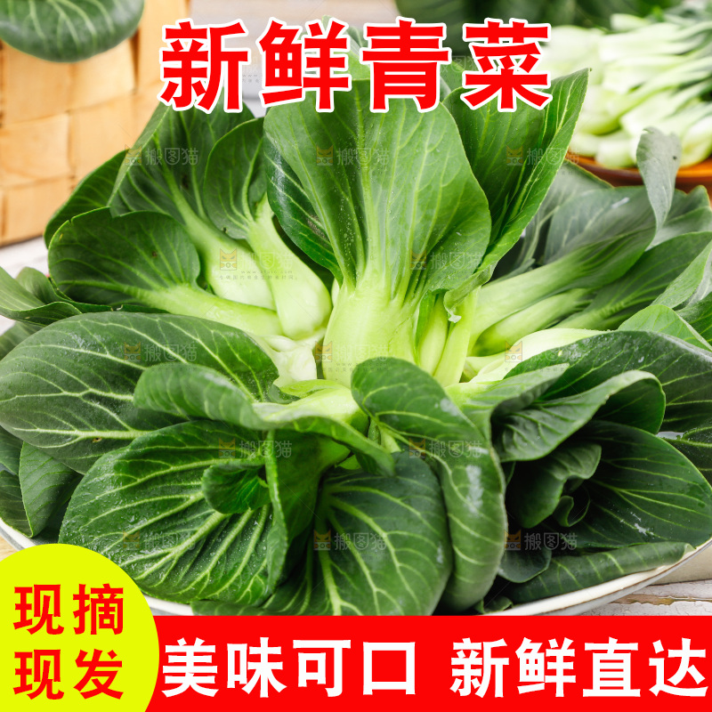 木板上摆放着农家青菜