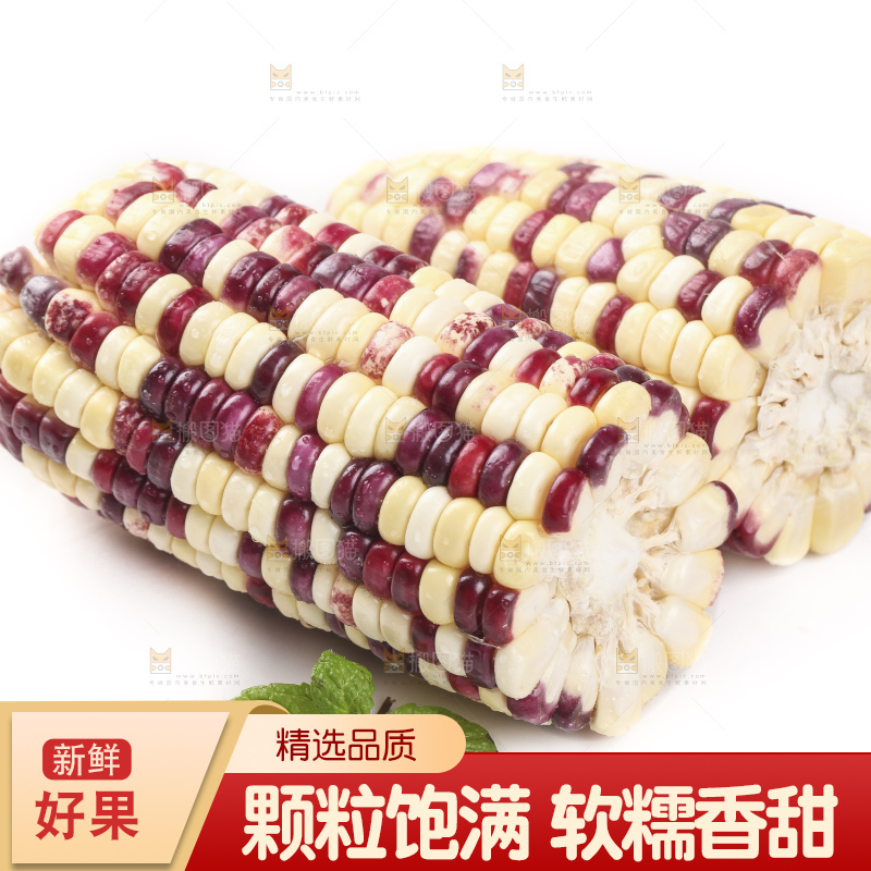 切开的花糯玉米放在白底上