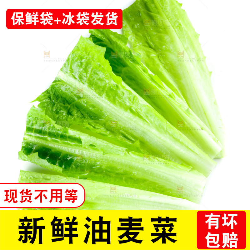 白底上放着油麦菜