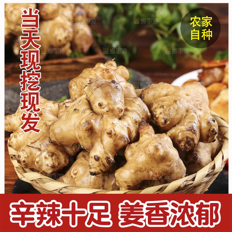 篮子里装着鬼子姜