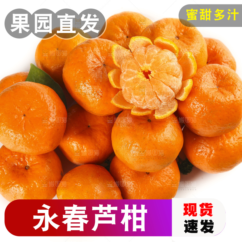 白底上的椪柑橘