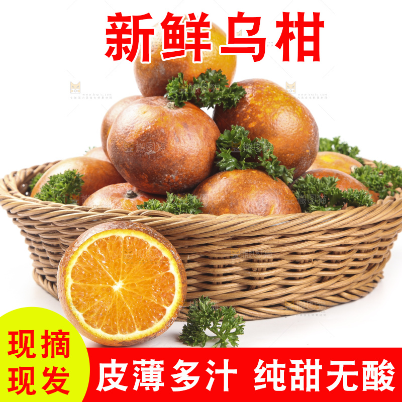 篮子里的广西乌柑