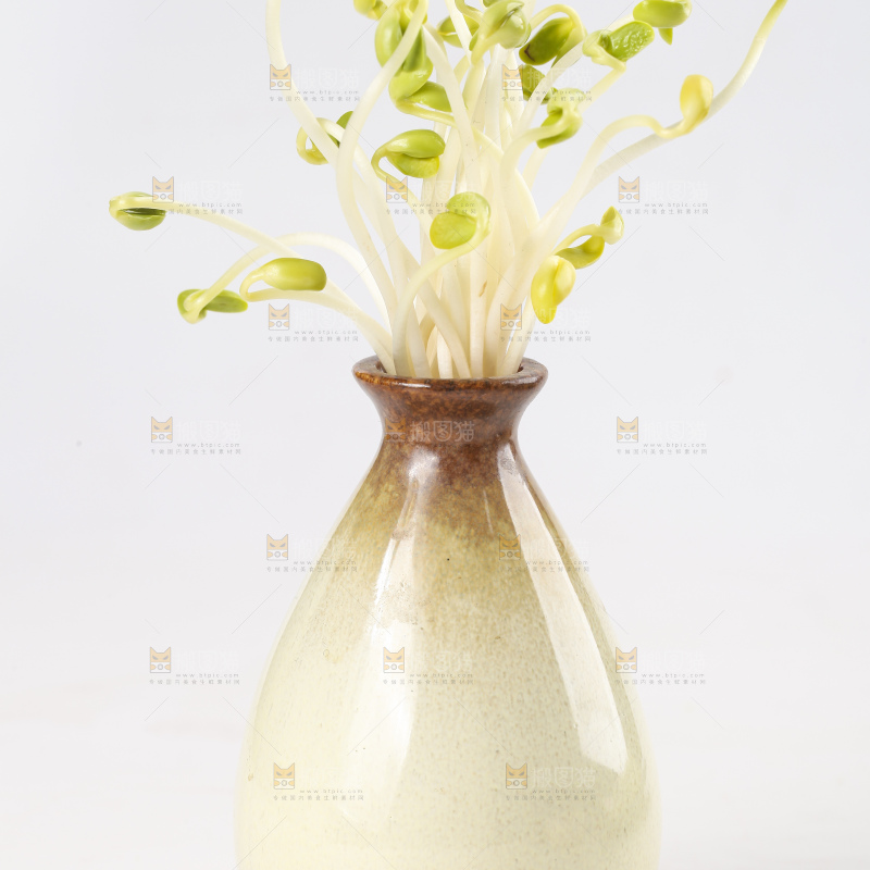 瓶子里放着黄豆芽