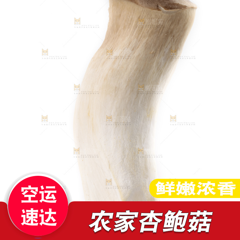 白底上放着大鸡腿菇