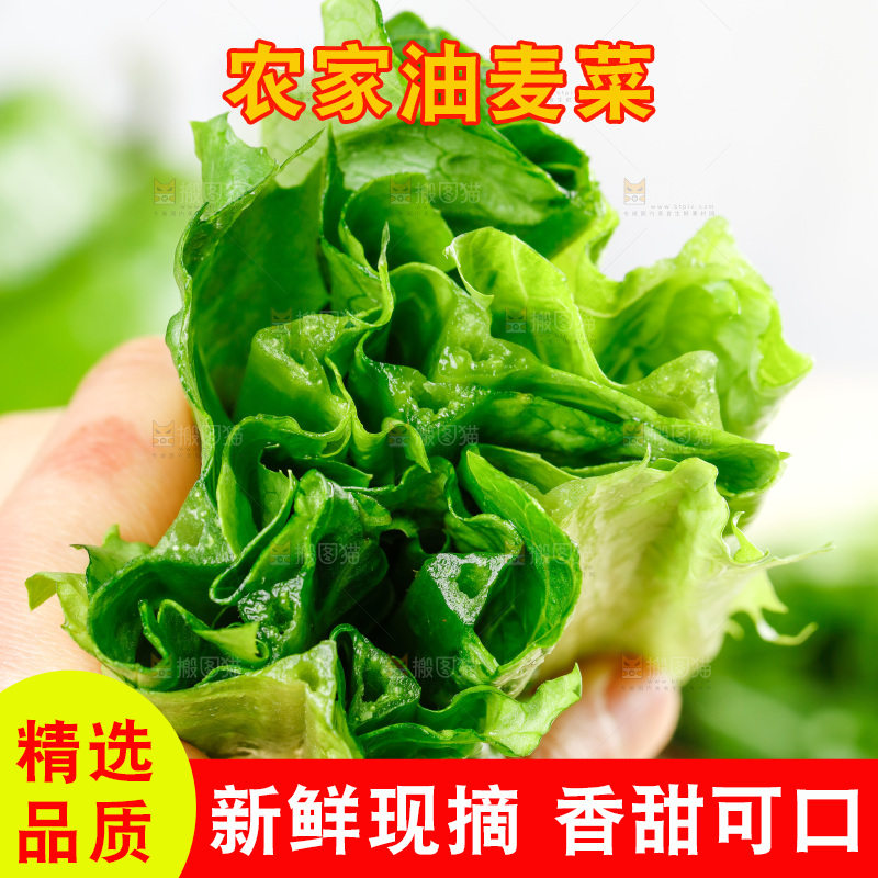 黑石板上放着新鲜油麦菜