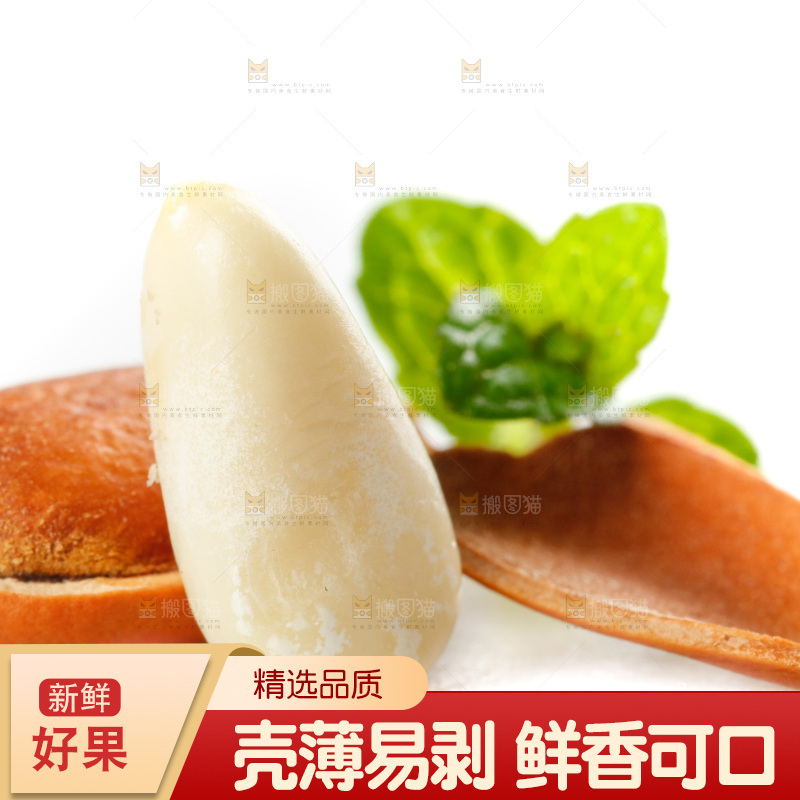 白底上放着巴西松子