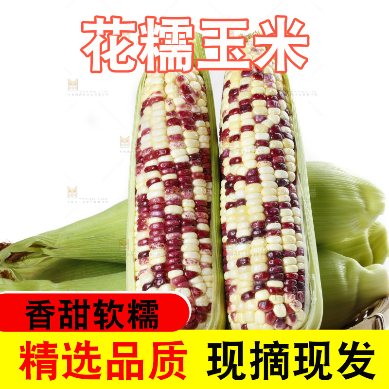 白底上放着剥皮的花糯玉米