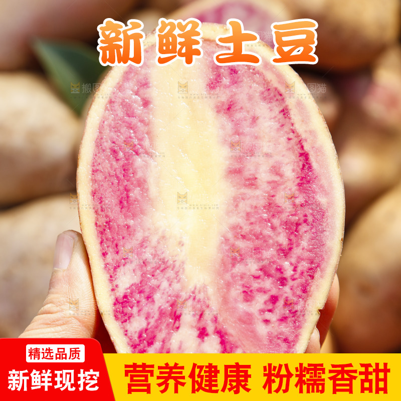手里拿着彩色土豆