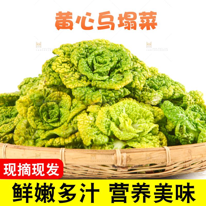 篮子里装着乌塌菜