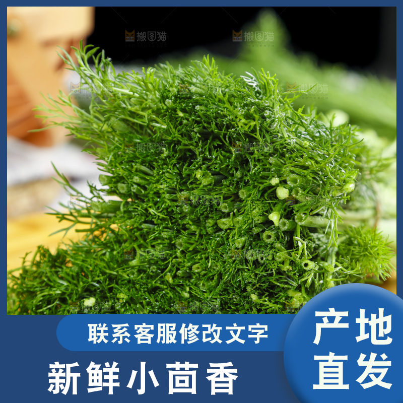 木板上的土茴香