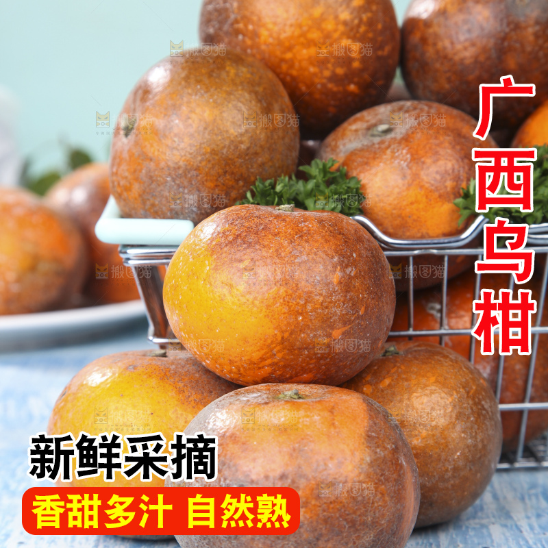 蓝底上摆放着乌柑