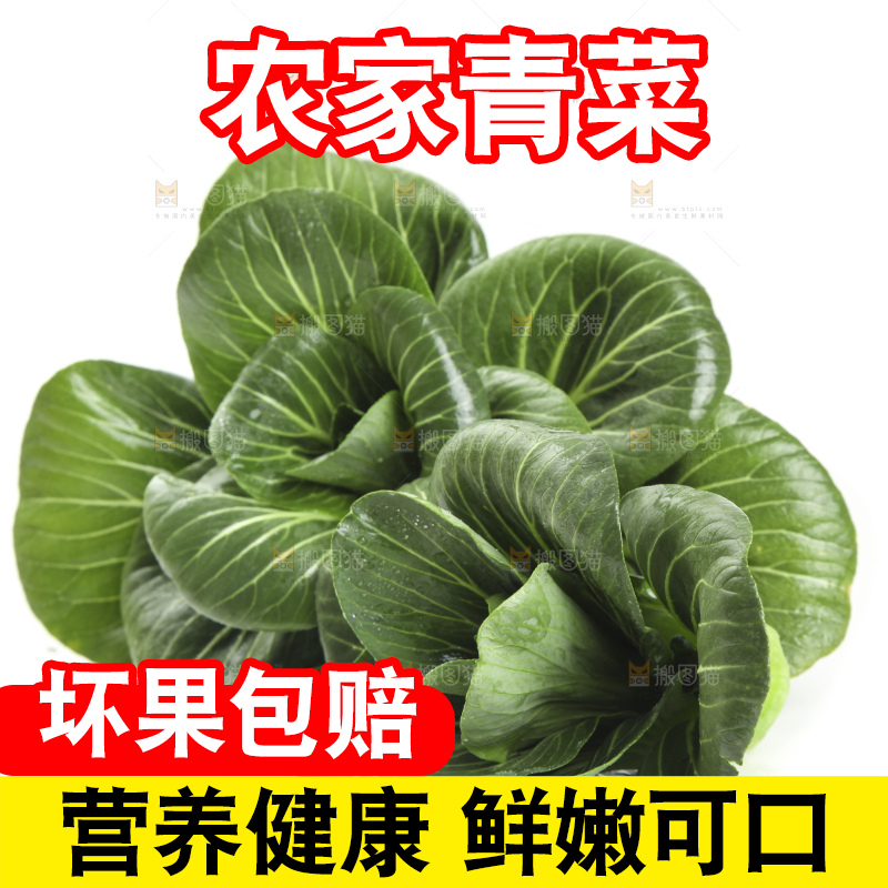 白底上放着上海青