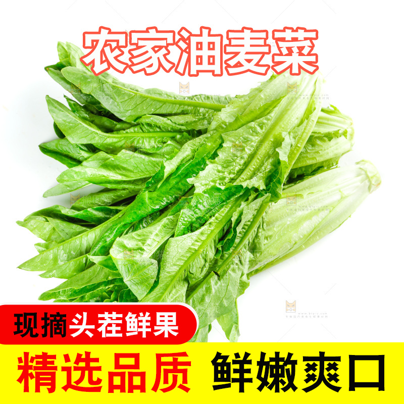 白底上放着油麦菜