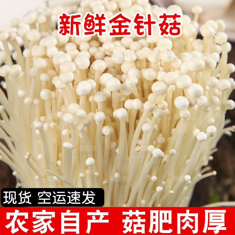 木底上的冬菇