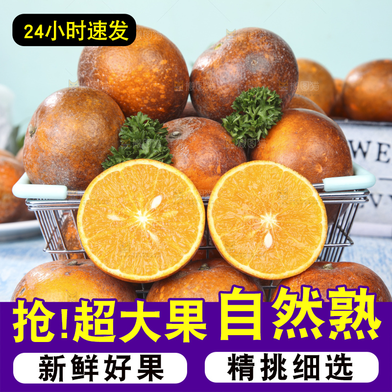 蓝底上摆放着乌柑