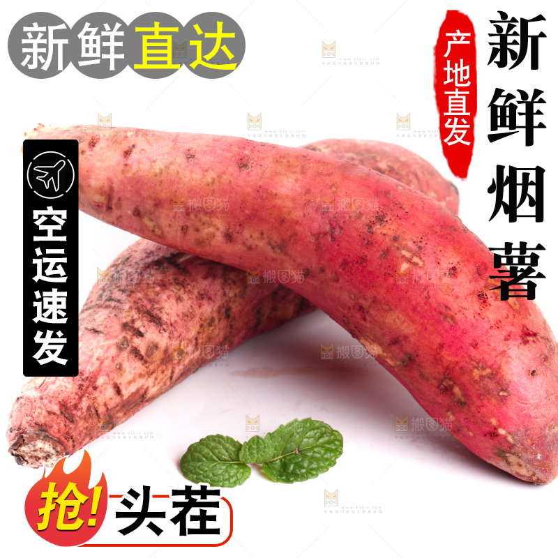 白底上蜜署