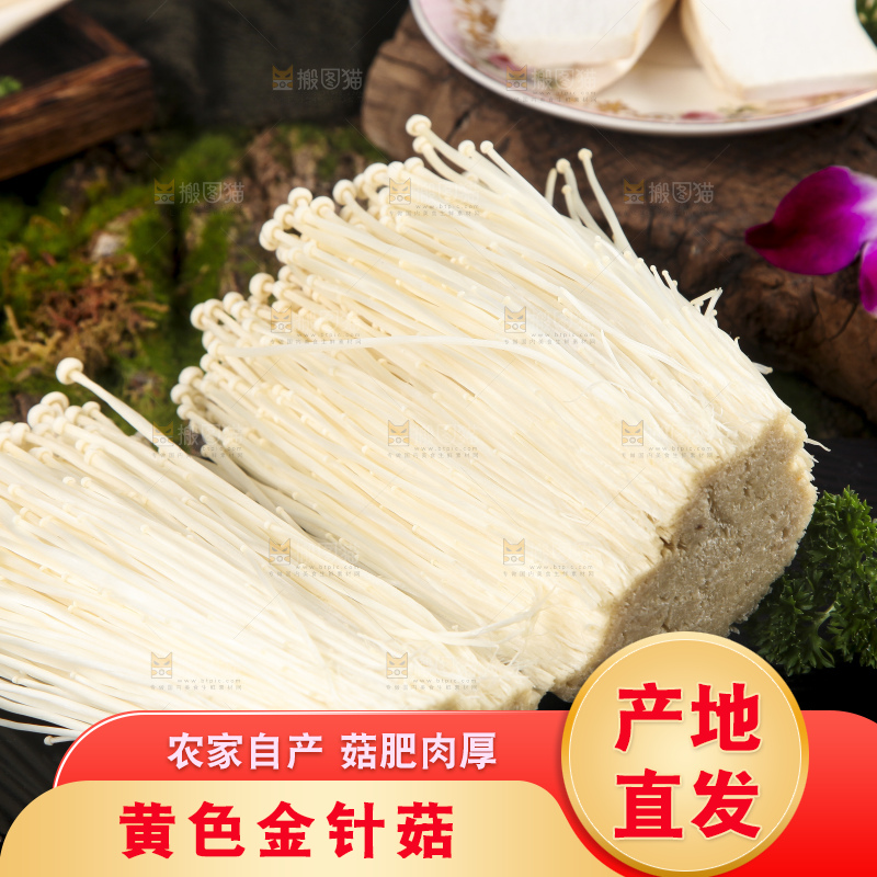 黑石板上的金针菇