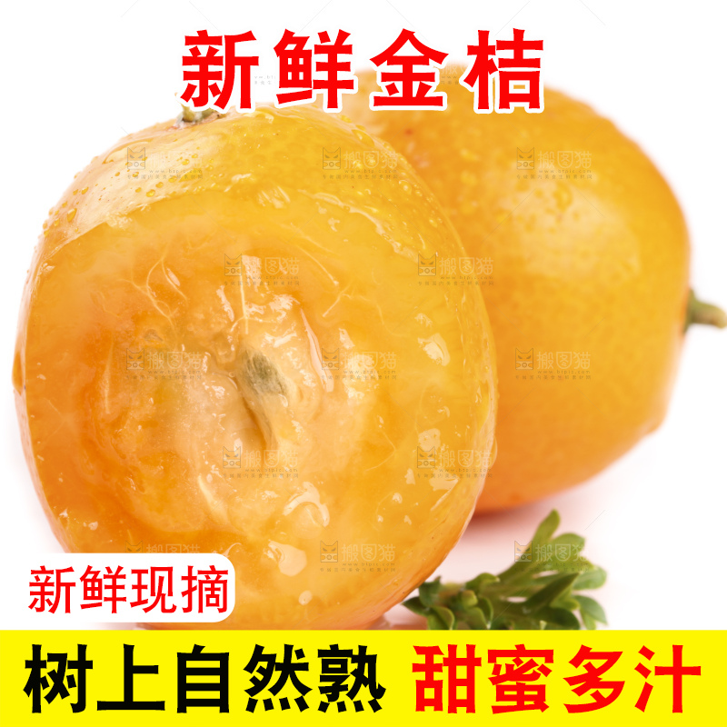 白底上的阳朔脆皮金桔