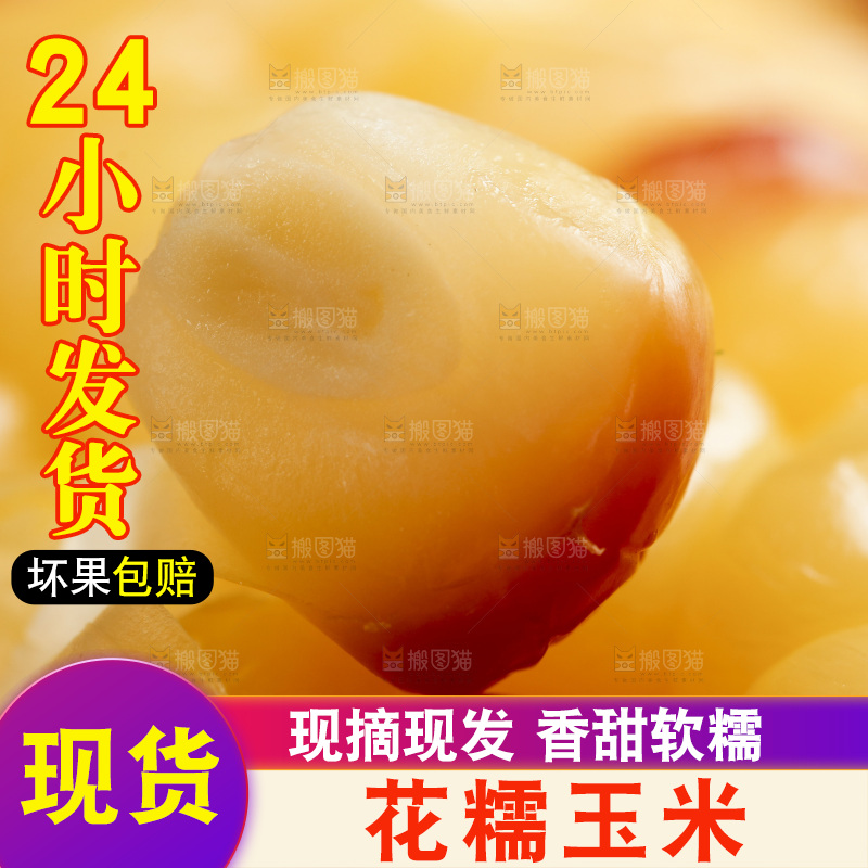 浅底上剥皮的熟花糯玉米