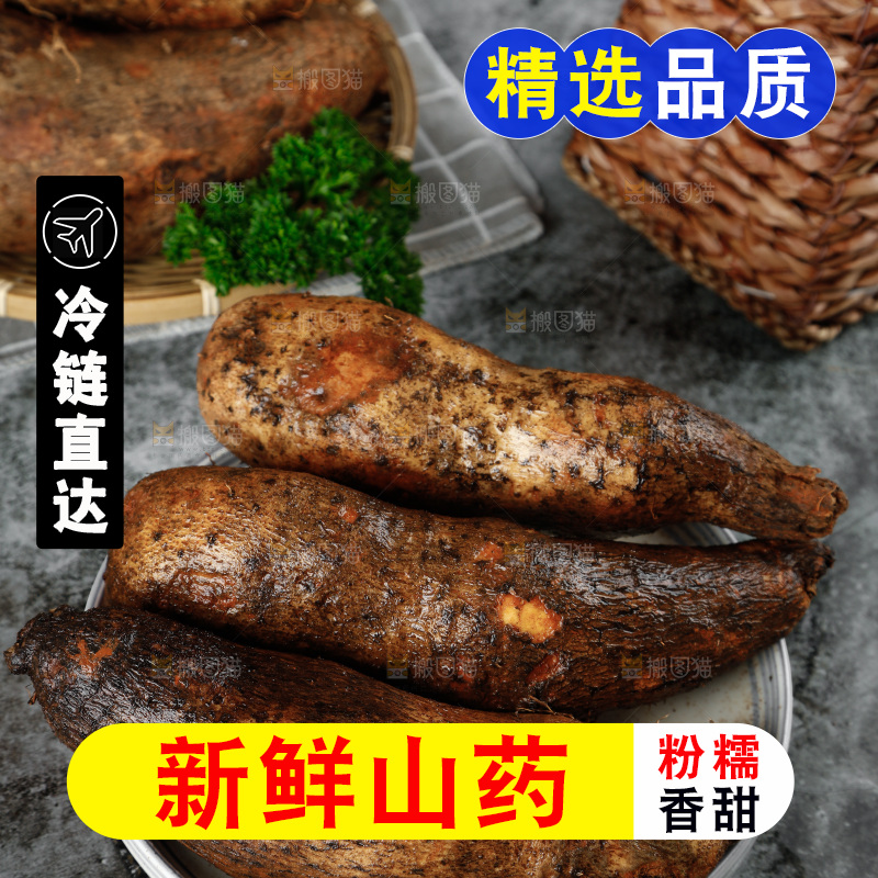 黑底上的金秤砣山药