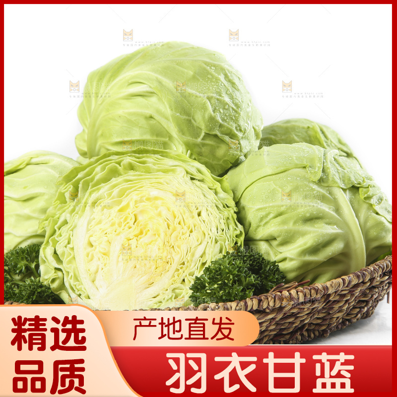 篮子里装着绿甘蓝