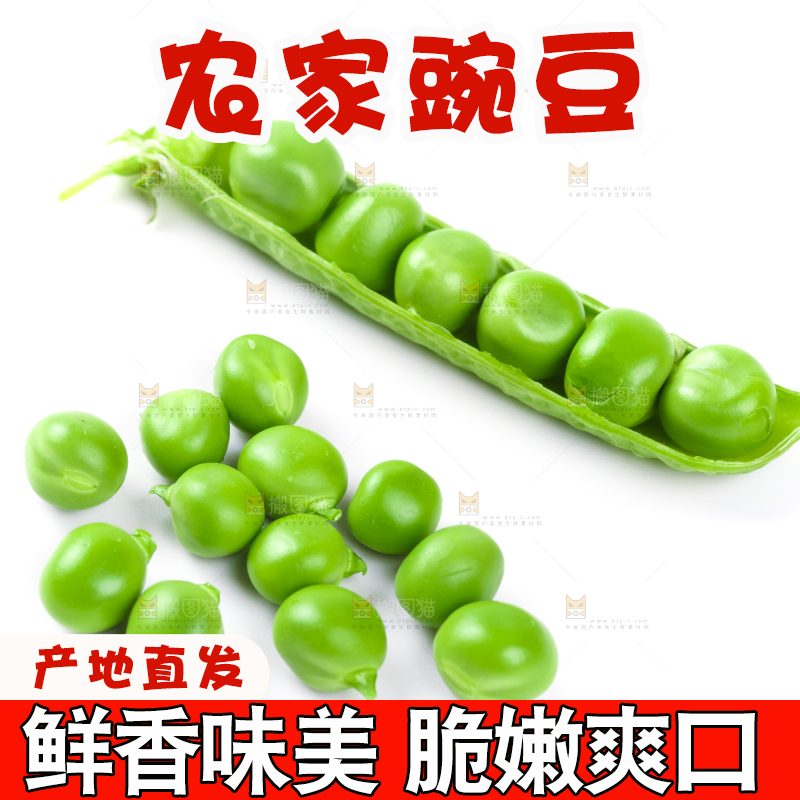 白底上放着新鲜豌豆粒