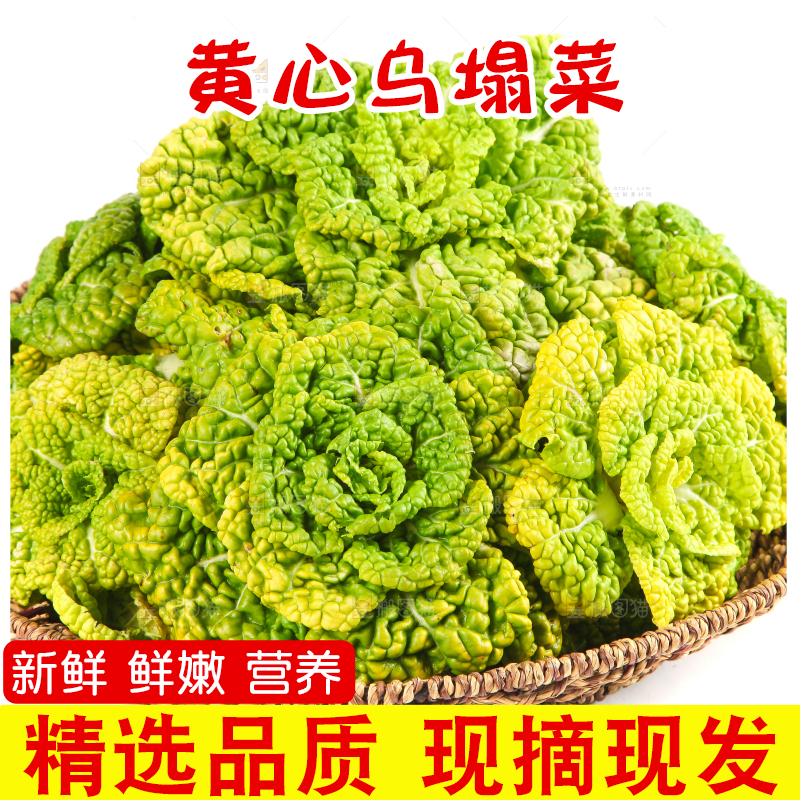 篮子里装着乌塌菜